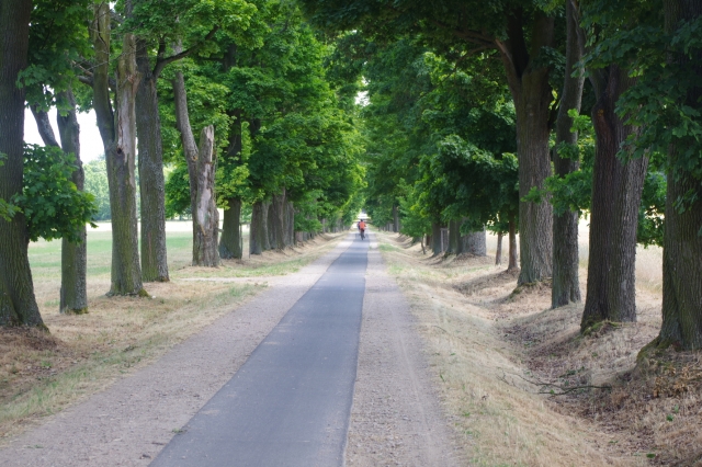 Cyklovýlet 2025_35